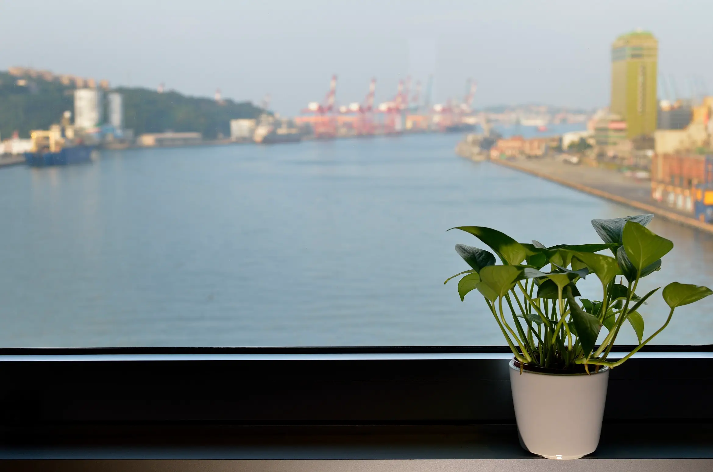 海景客房